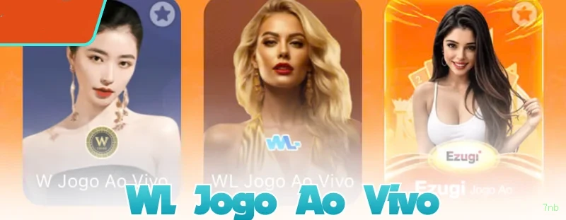 Processo de Login